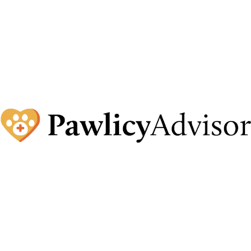 pawlicy-logo-Y4LxMKw7aKs9j926